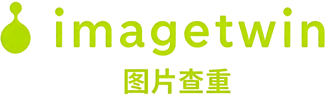 imagetwin图片查重报告